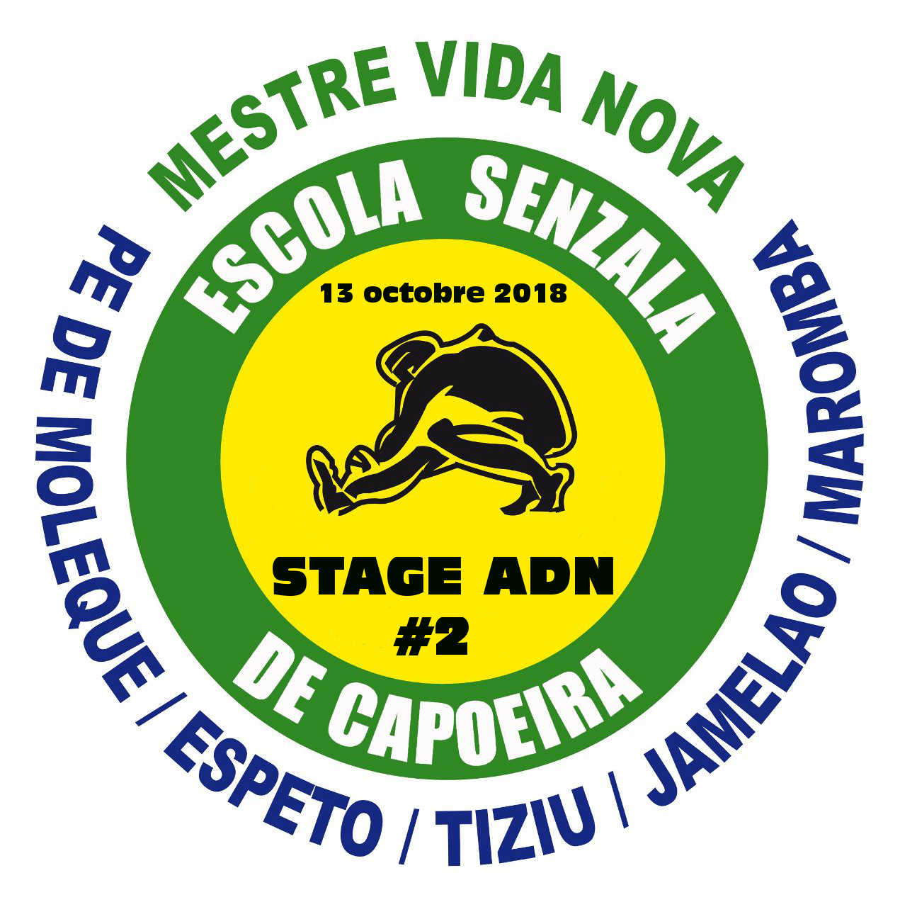 stage capoeira adn 2018 toulouse