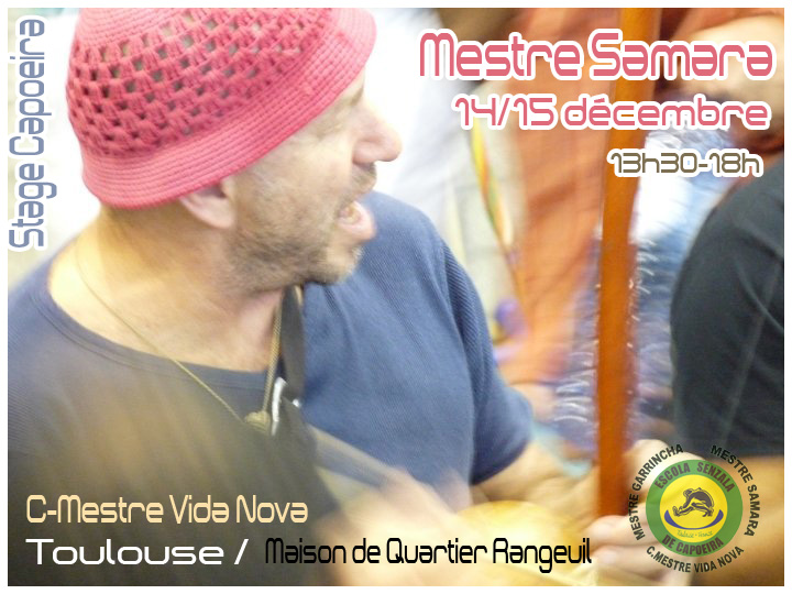 stage capoeira samara 2013 toulouse