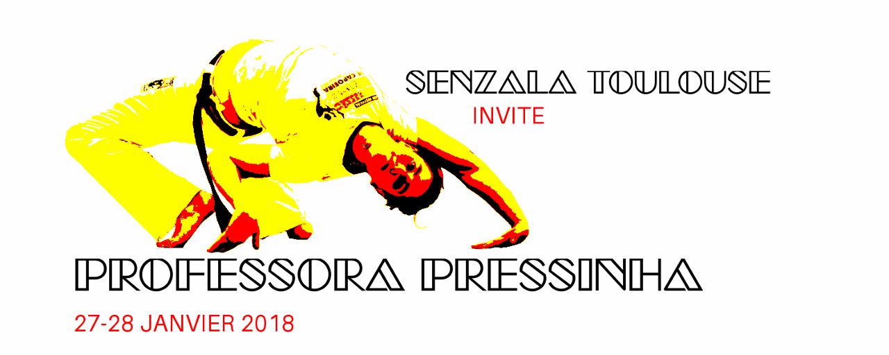 stage capoeira pressinha 2018 toulouse